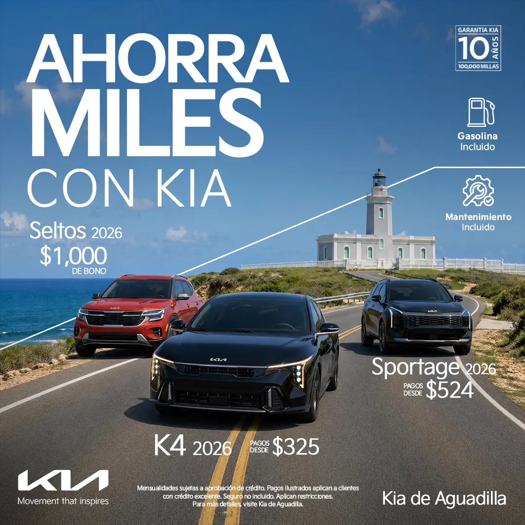 Nuestras ofertas